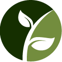 Invasive Vine Removal Pros
