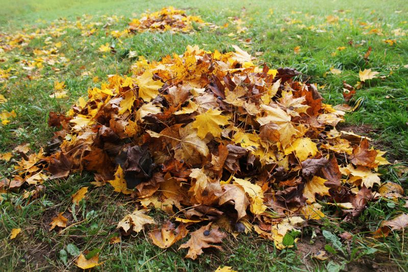 Seasonal Leaf Clearing