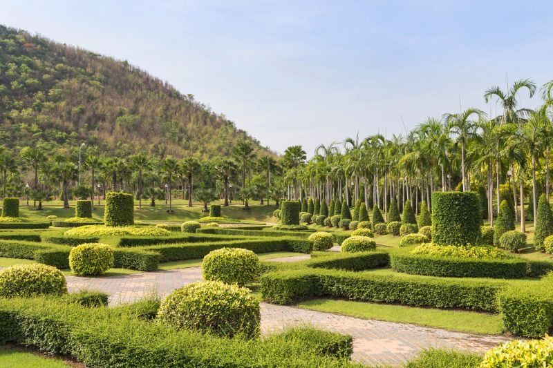 Garden with Shaped Shrubs
